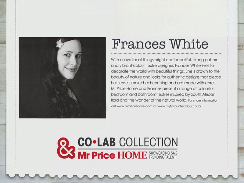 FRANCES WHITE AND MR PRICE HOME CO-LAB RANGE JANUARY 2014