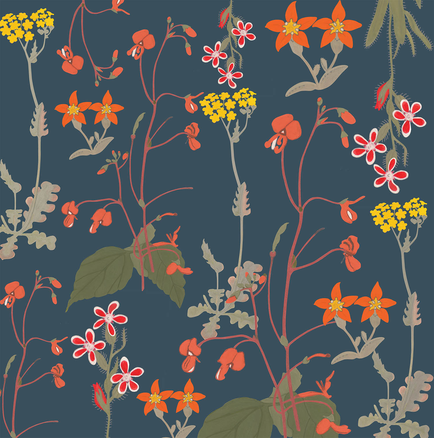 South African Meadow Range Frances White