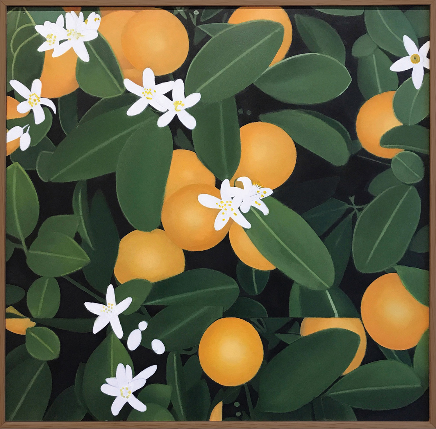 LATE BLOOMER SOLO SHOW Orange Blossoms