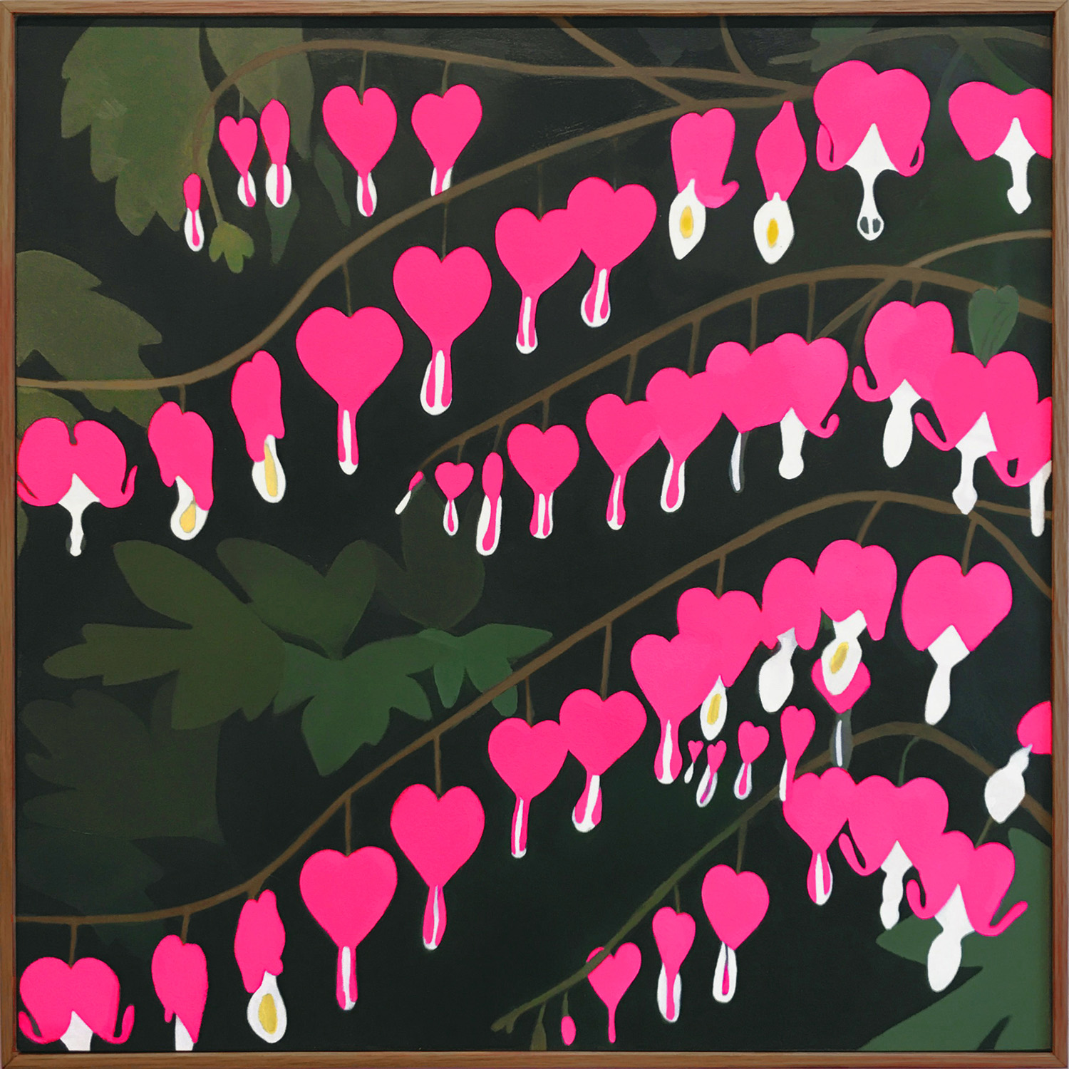 LATE BLOOMER SOLO SHOW Bleeding Hearts Pink